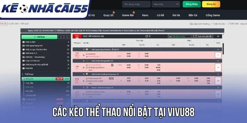 Các kèo thể thao nổi bật tại Vivu88