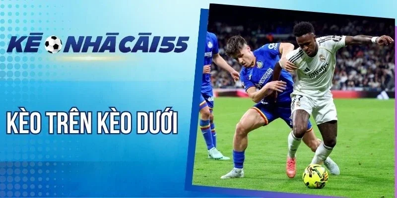 Sử dụng bảng xếp hạng chốt kèo trên kèo dưới