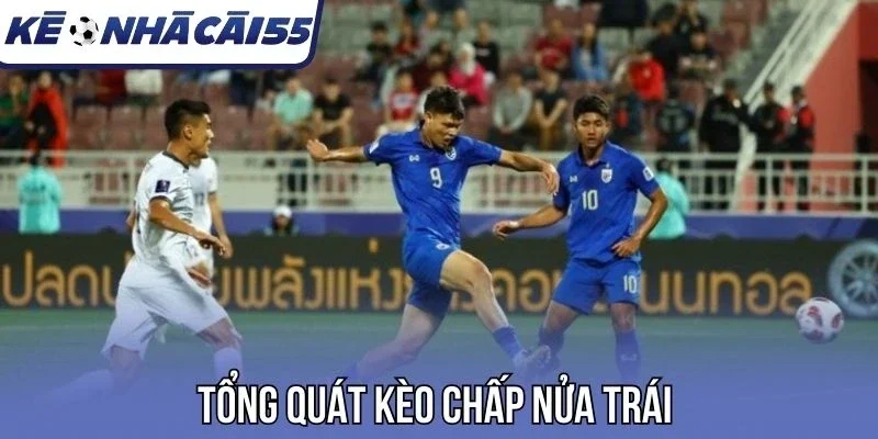 Tổng quát kèo chấp nửa trái 