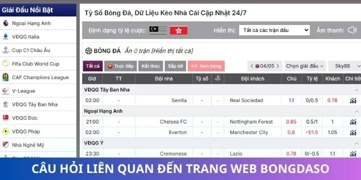 Câu hỏi thường gặp khi sử dụng dịch vụ trên Bongdaso