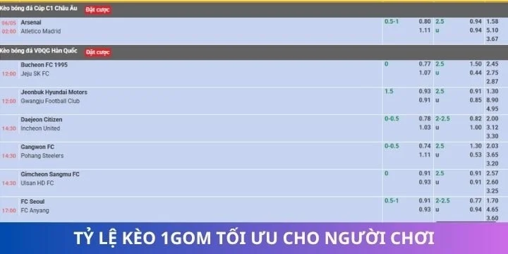 Danh mục tỷ lệ kèo được 1gom sắp xếp trực quan, khoa học